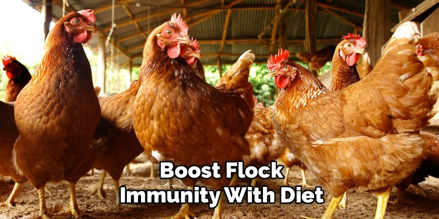 Boost Flock Immunity With Diet