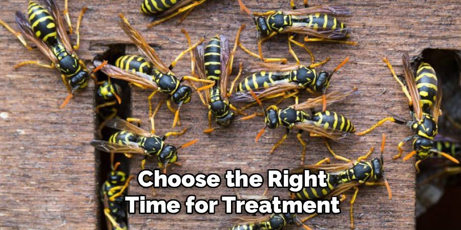 Choose the Right Time for Treatment