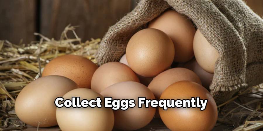 Collect Eggs Frequently
