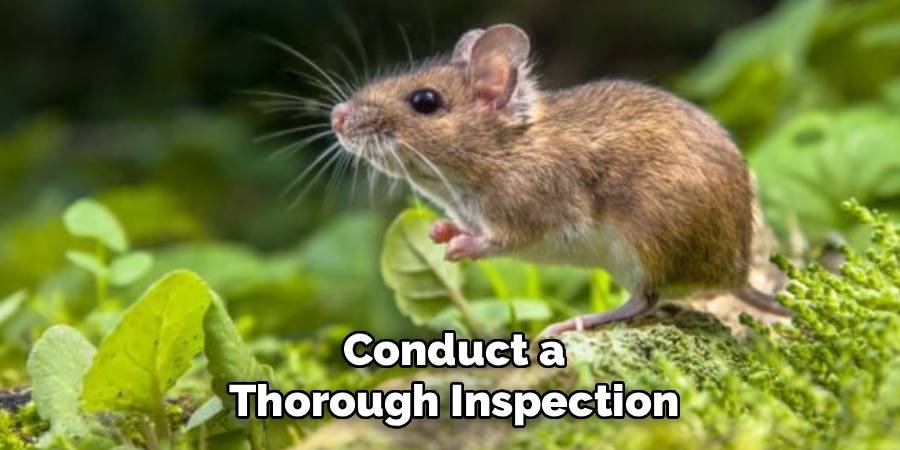 Conduct a Thorough Inspection