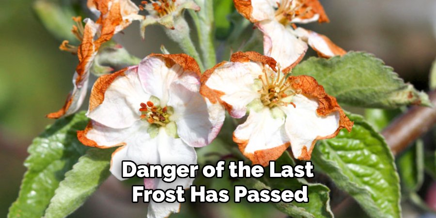 Danger of the Last 
Frost Has Passed
