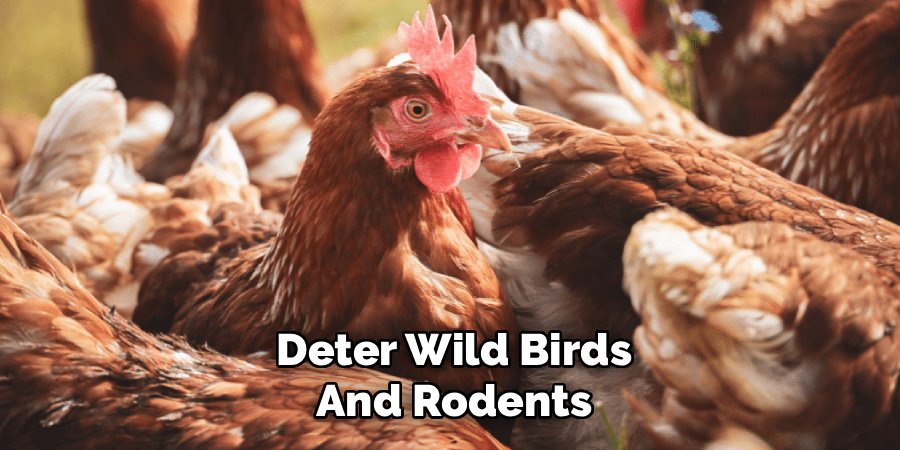 Deter Wild Birds and Rodents