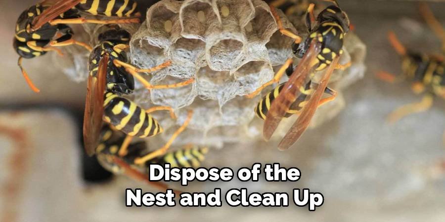 Dispose of the Nest and Clean Up