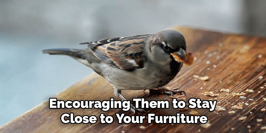 Encouraging Them to Stay
Close to Your Furniture
