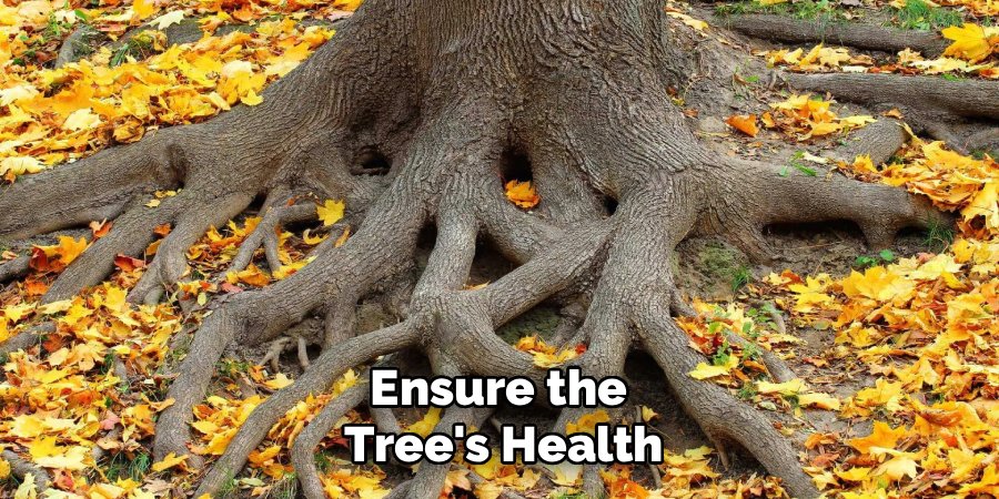 Ensure the
Tree's Health