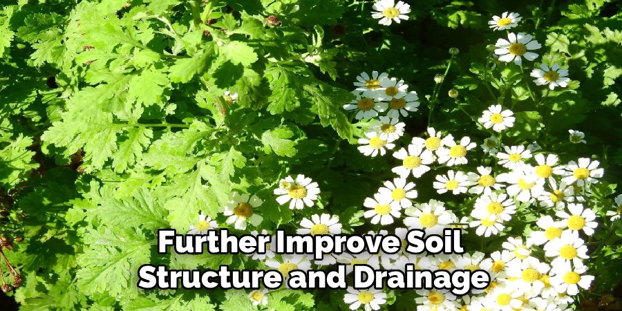 Further Improve Soil 
Structure and Drainage