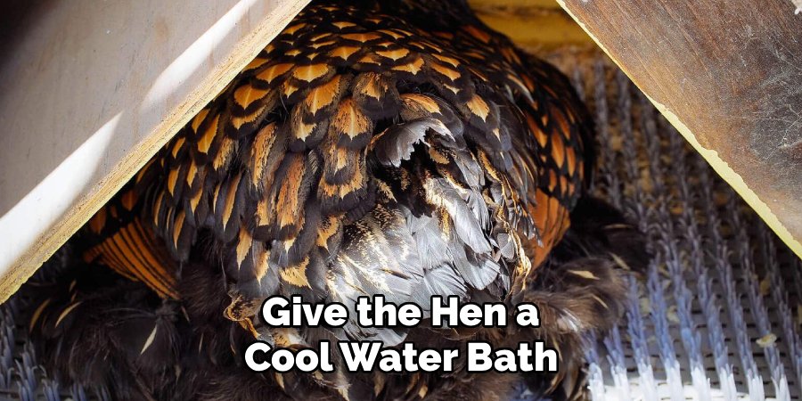 Give the Hen a Cool Water Bath