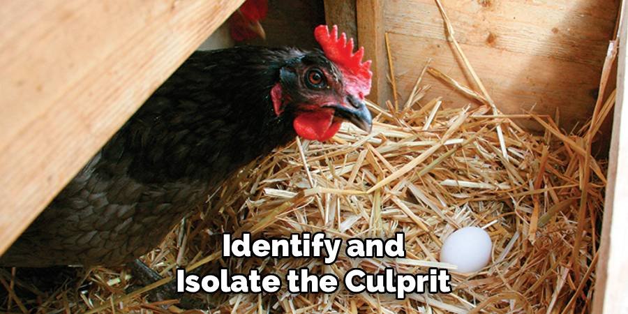 Identify and Isolate the Culprit