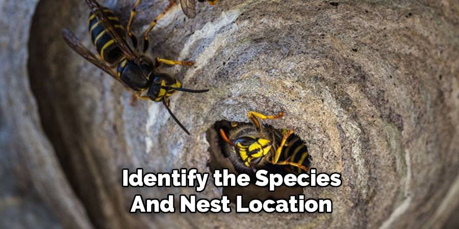 Identify the Species and Nest Location