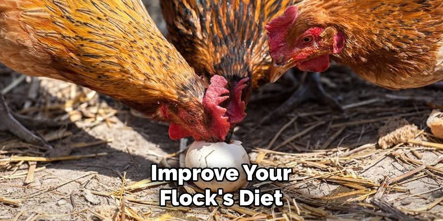 Improve Your Flock's Diet