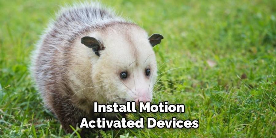 Install Motion-Activated Devices