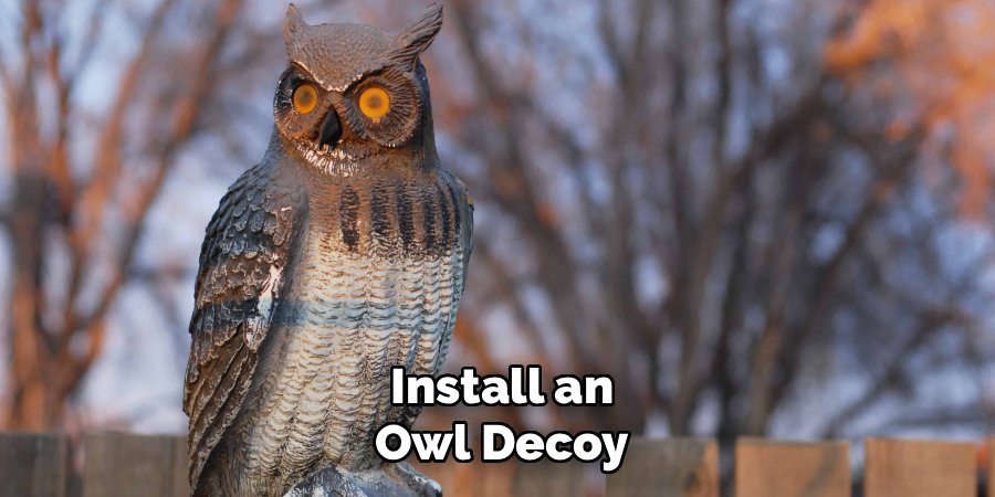 Install an Owl Decoy
