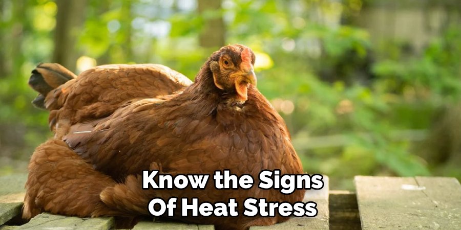 Know the Signs of Heat Stress