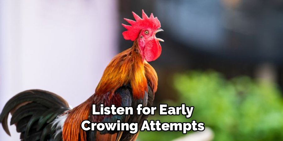Listen for Early Crowing Attempts