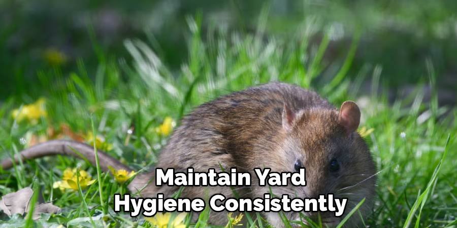 Maintain Yard Hygiene Consistently