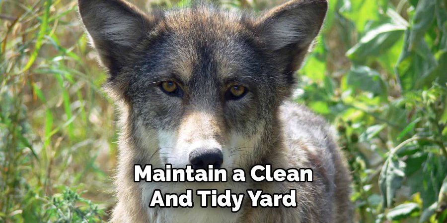Maintain a Clean and Tidy Yard