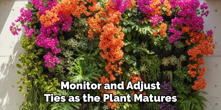 Monitor and Adjust Ties as the Plant Matures