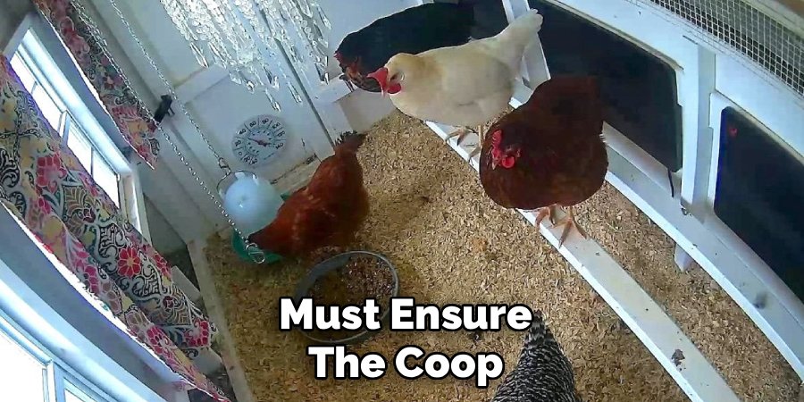 Must Ensure the Coop