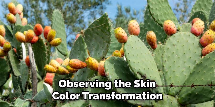 Observing the Skin Color Transformation