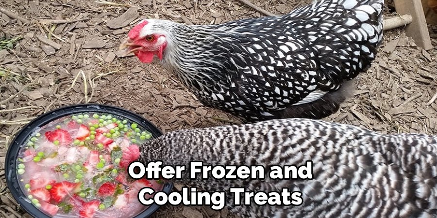 Offer Frozen and Cooling Treats
