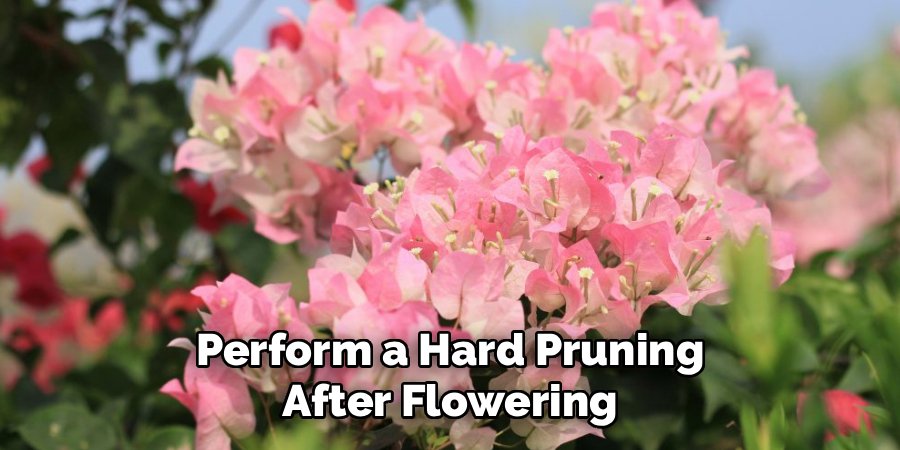 Perform a Hard Pruning After Flowering