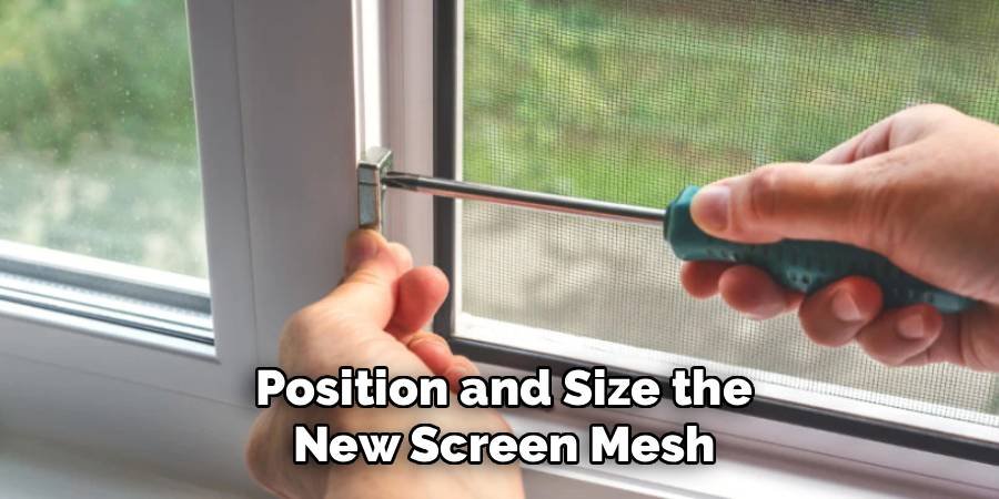 Position and Size the New Screen Mesh