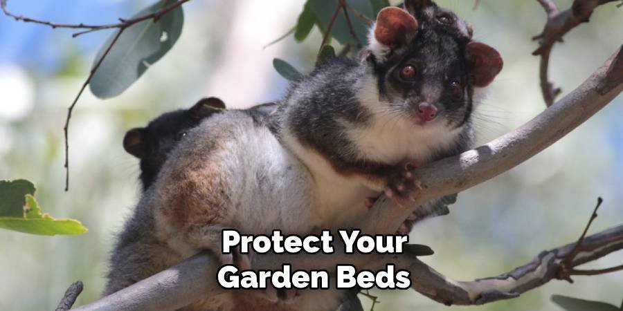 Protect Your Garden Beds