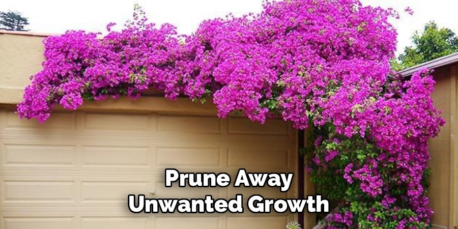 Prune Away Unwanted Growth
