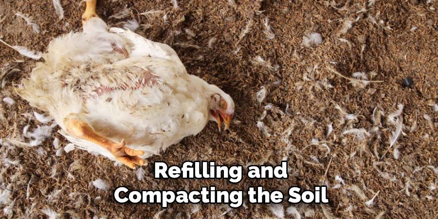 Refilling and Compacting the Soil