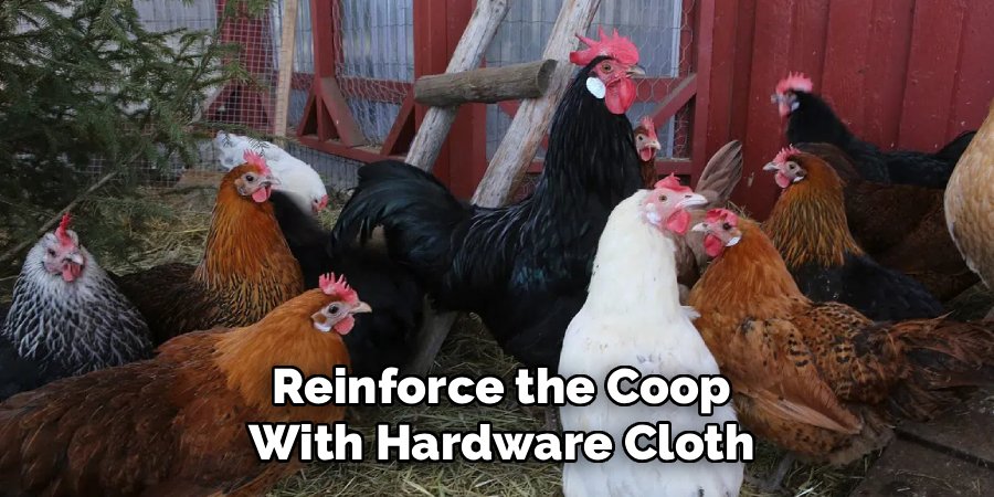 Reinforce the Coop with Hardware Cloth