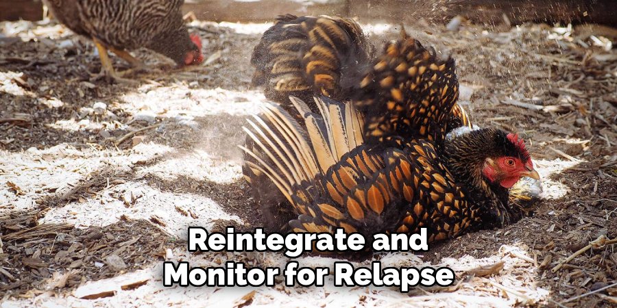 Reintegrate and Monitor for Relapse