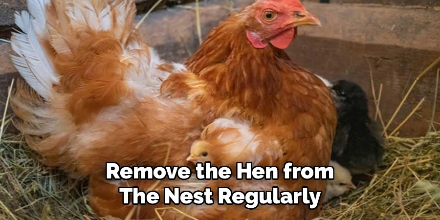 Remove the Hen from the Nest Regularly