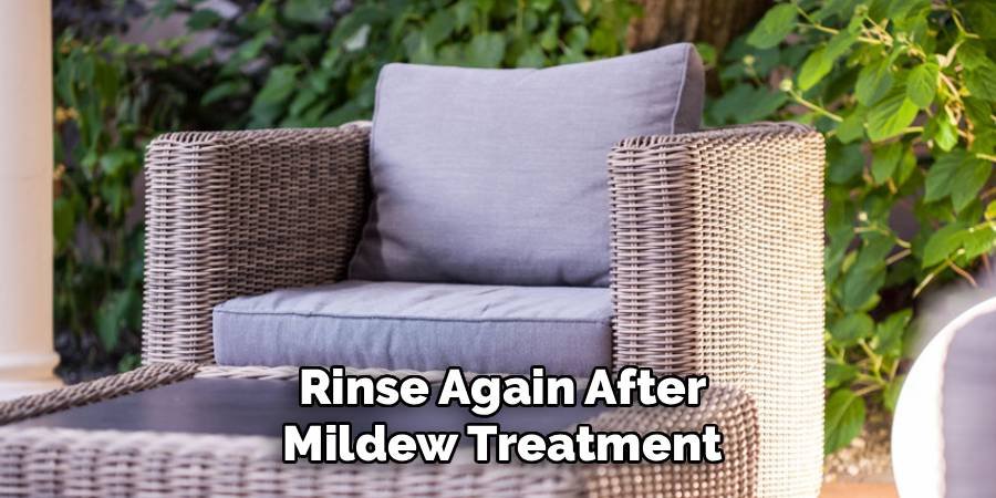 Rinse Again After Mildew Treatment