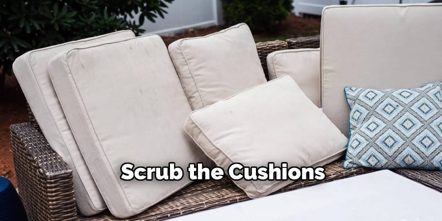 Scrub the Cushions