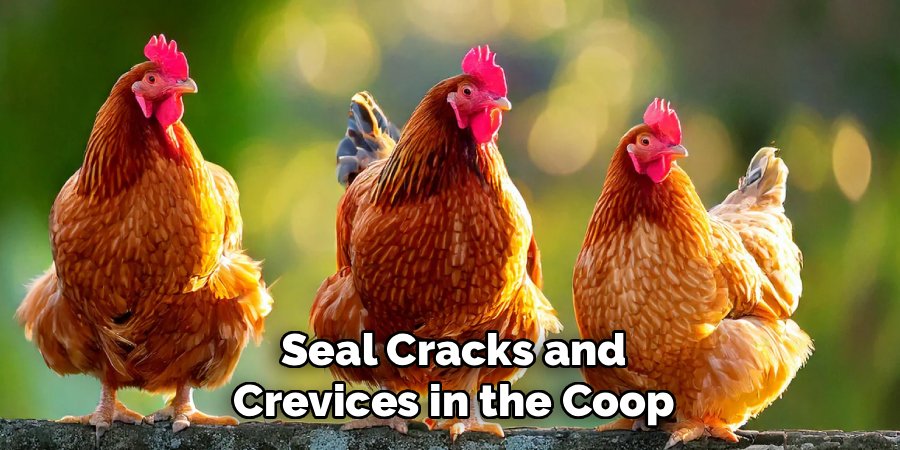 Seal Cracks and Crevices in the Coop
