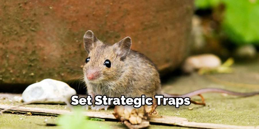 Set Strategic Traps
