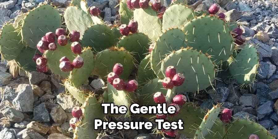 The Gentle Pressure Test