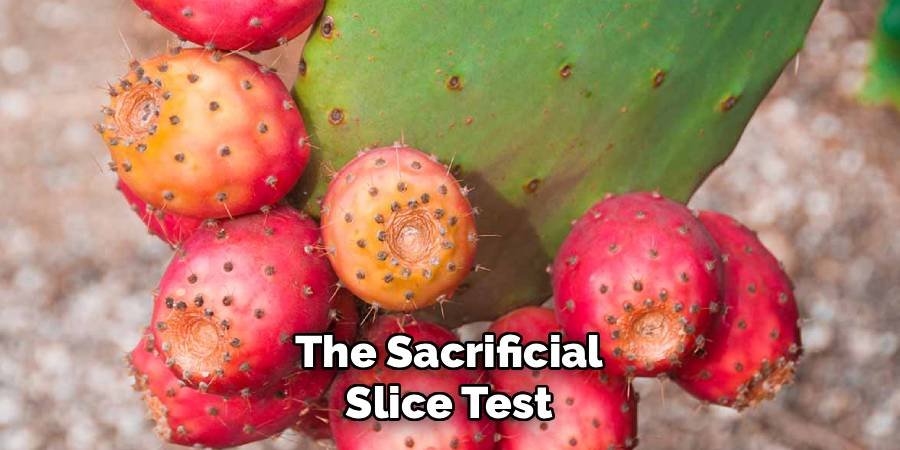 The Sacrificial Slice Test
