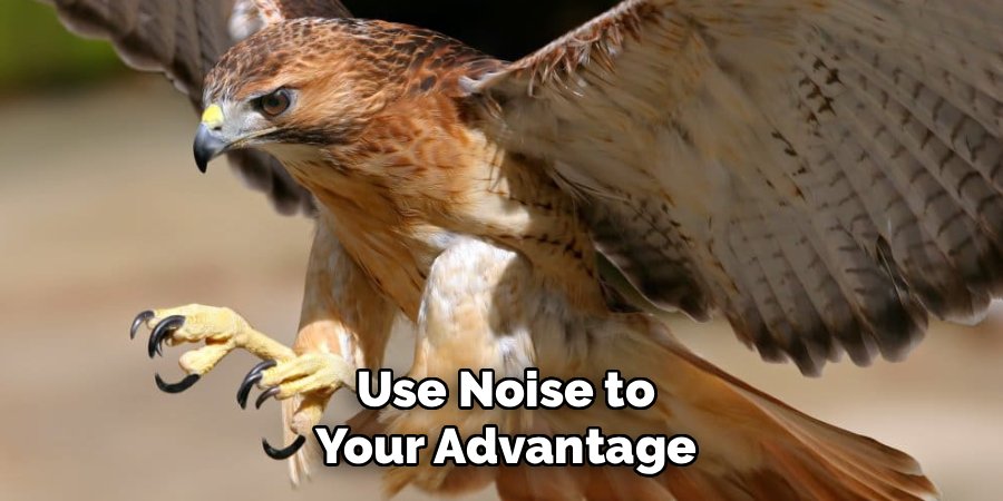 Use Noise to Your Advantage