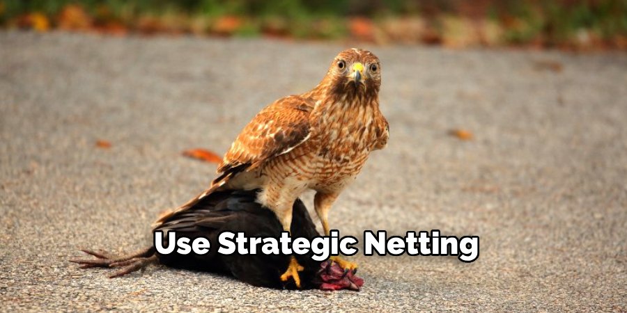 Use Strategic Netting