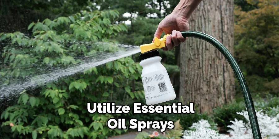 Utilize Essential Oil Sprays