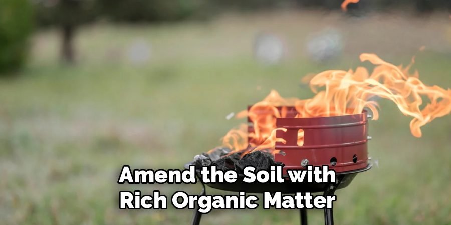 Amend the Soil with Rich Organic Matter