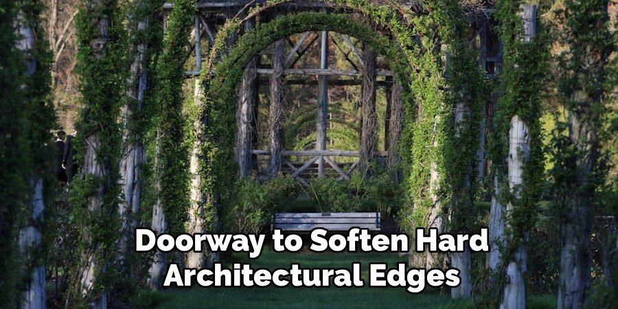 Doorway to Soften Hard
Architectural Edges
