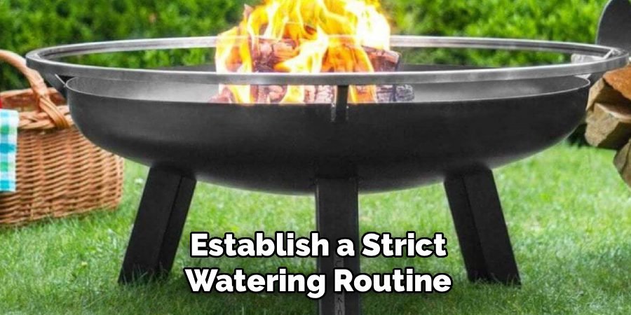 Establish a Strict Watering Routine