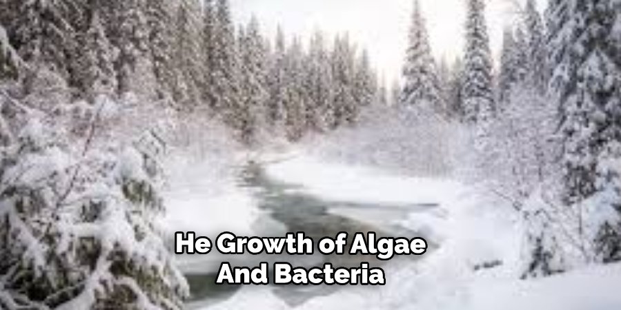 He Growth of Algae
And Bacteria