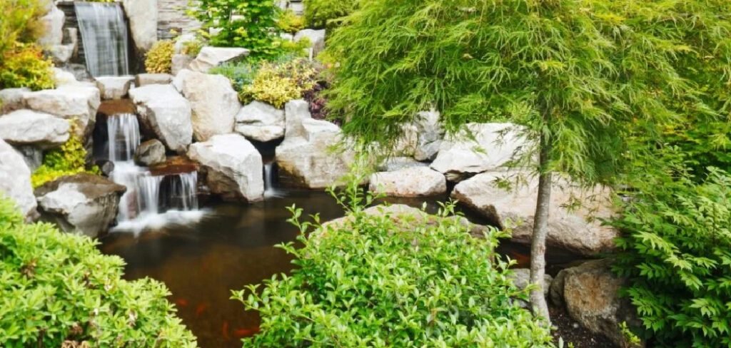 How to Make Backyard Smell Good