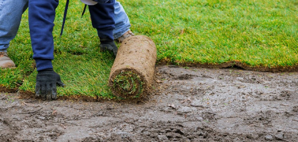 How to Measure Yard