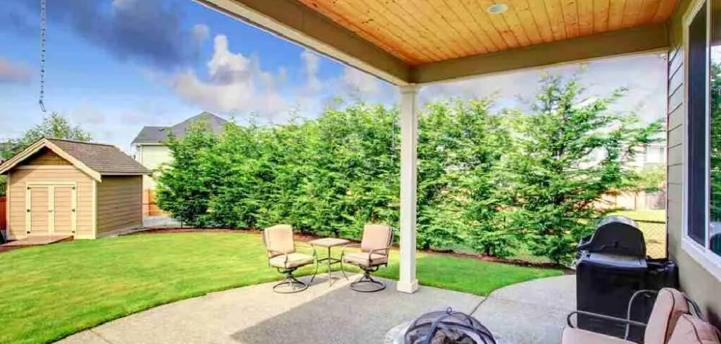 How to Stop Patio Going Green