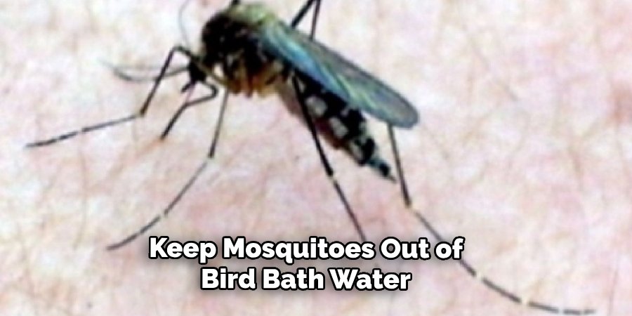 Keep Mosquitoes Out of
Bird Bath Water