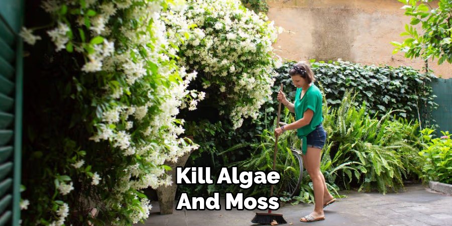 Kill Algae
And Moss